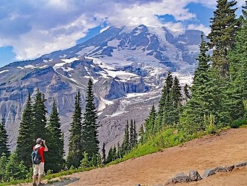 7. From Seattle: Full-Day Mt Rainier National Park Tour - Image 7