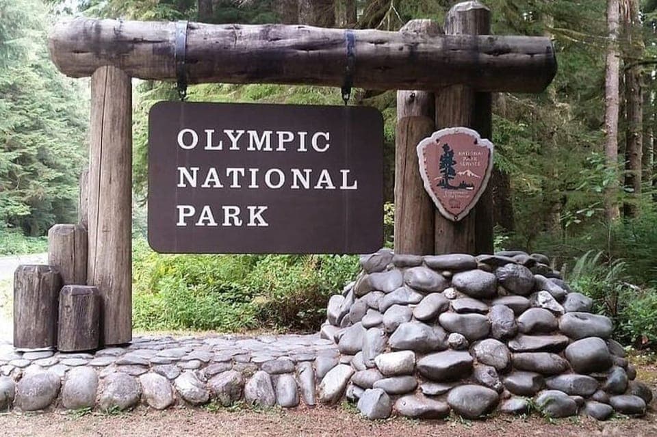 11. From Seattle: Olympic National Park Full Day Tour - Image 11