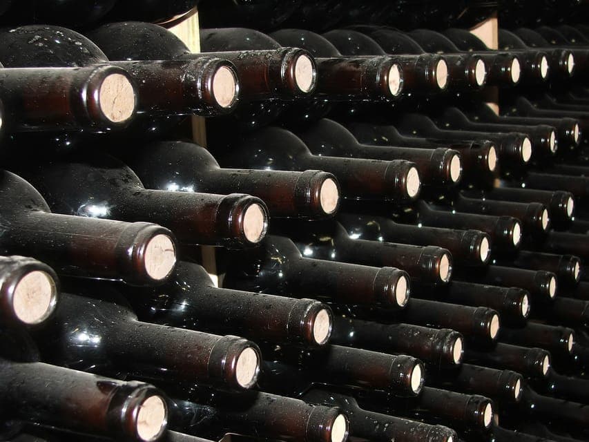 From Washington, DC: Virginia Wine Country Private Day-Trip Gallery Image 4