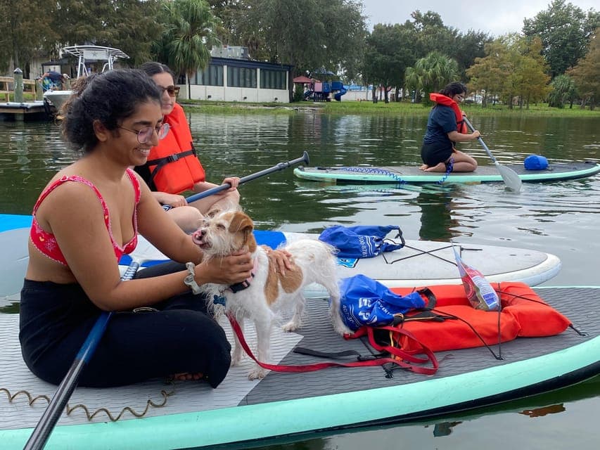14. Paddle with Pups in Paradise - Paddleboard or Kayak - Image 14