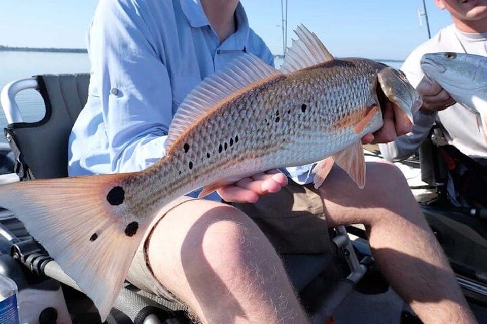 Kayak Fishing Charter in Bayou Bienvenue Gallery Image 3