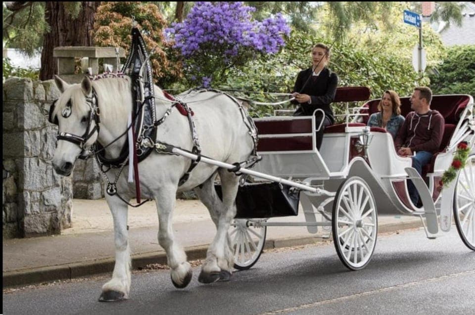 23. Private Central Park Horse Carriage Ride with Guide - Image 23