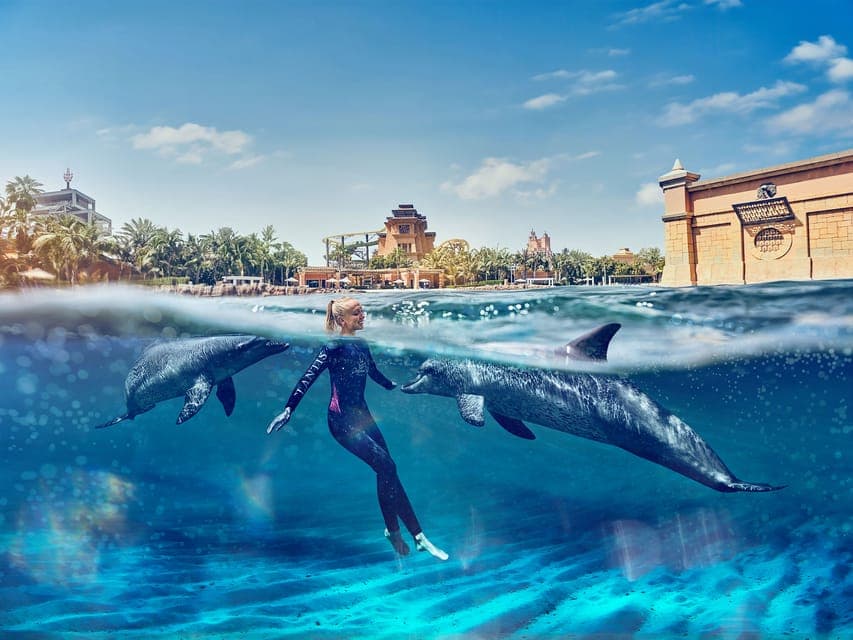 Swim with Dolphins at Atlantis Waterpark Gallery Image 3