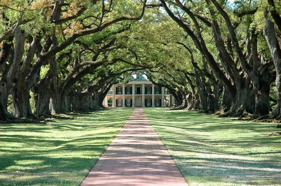 6. Single Plantation and Pontoon Swamp Day Trip - Image 6