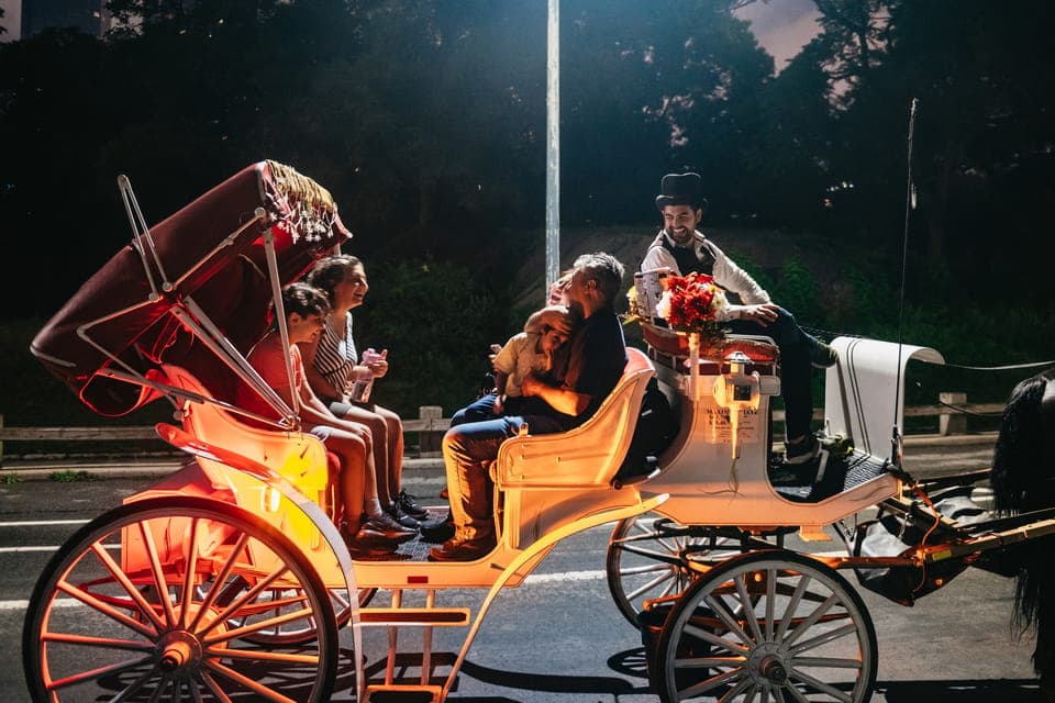 Central Park, Rockefeller & Times Carriage Ride (4 Adults) Gallery Image 4