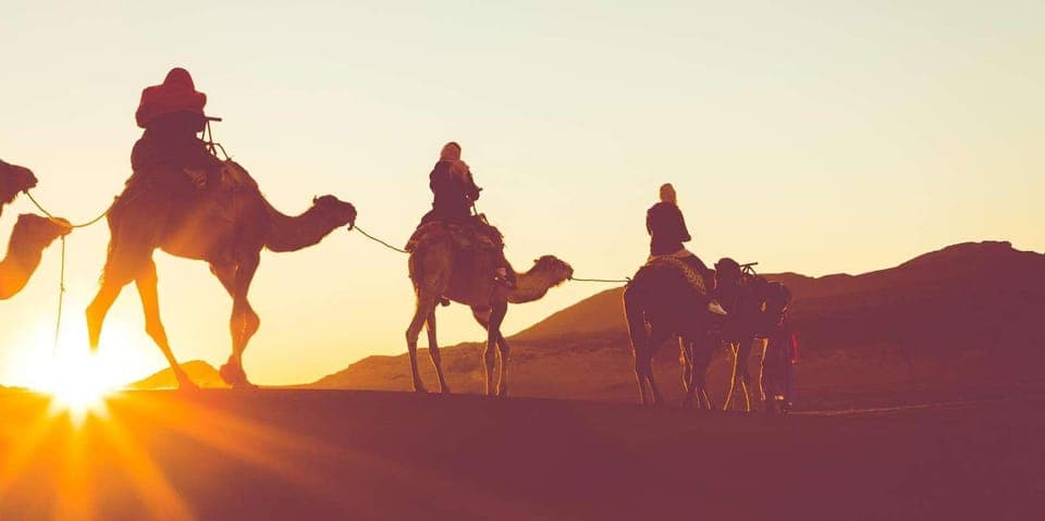 Hot Air Balloon with Camel, ATV, & Horse Ride Options Gallery Image 3