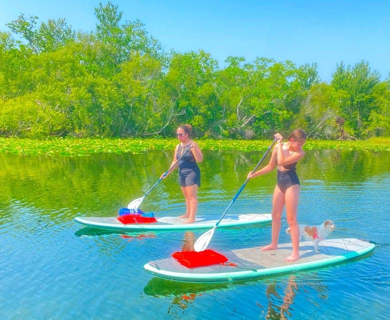 Clear Kayak and Paddleboard 2-Hour Rental Gallery Image 3