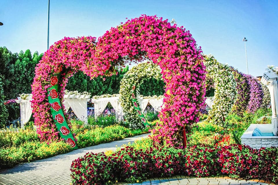 4. Dubai Flora and Fauna 4-Hour Tour - Image 4