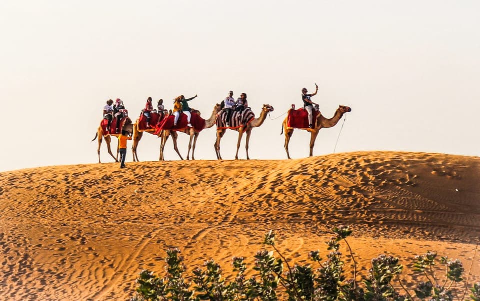 Red Dune Safari, Quad Bike, Camel Ride, BBQ Dinner Gallery Image 4