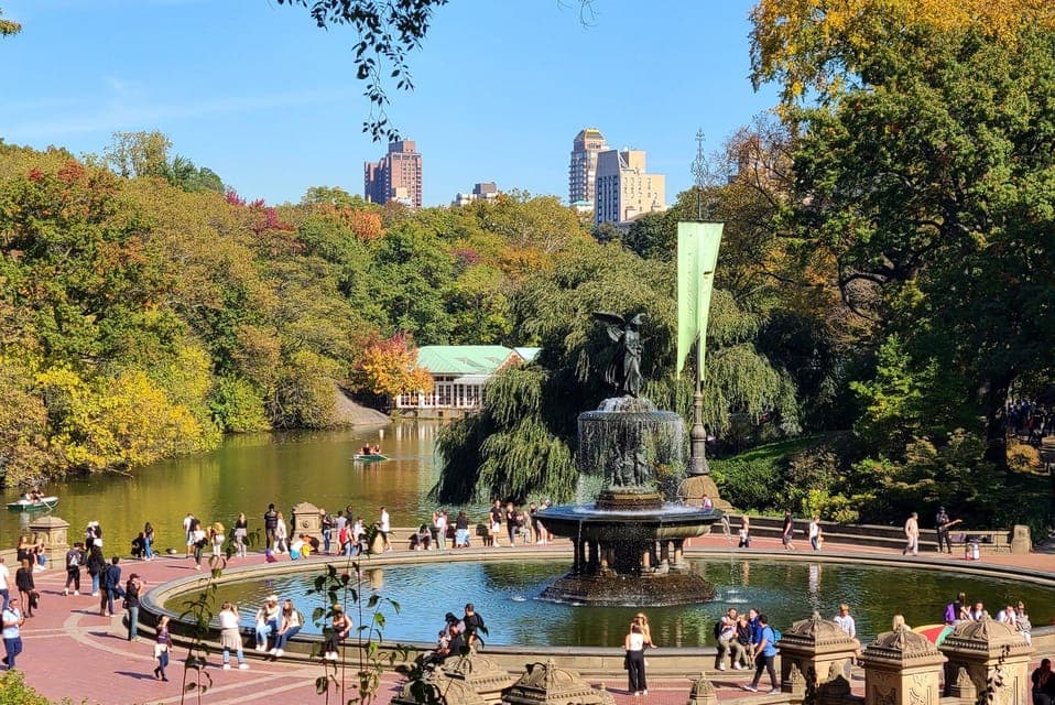 Central Park Tandem Bike Rentals Gallery Image 4