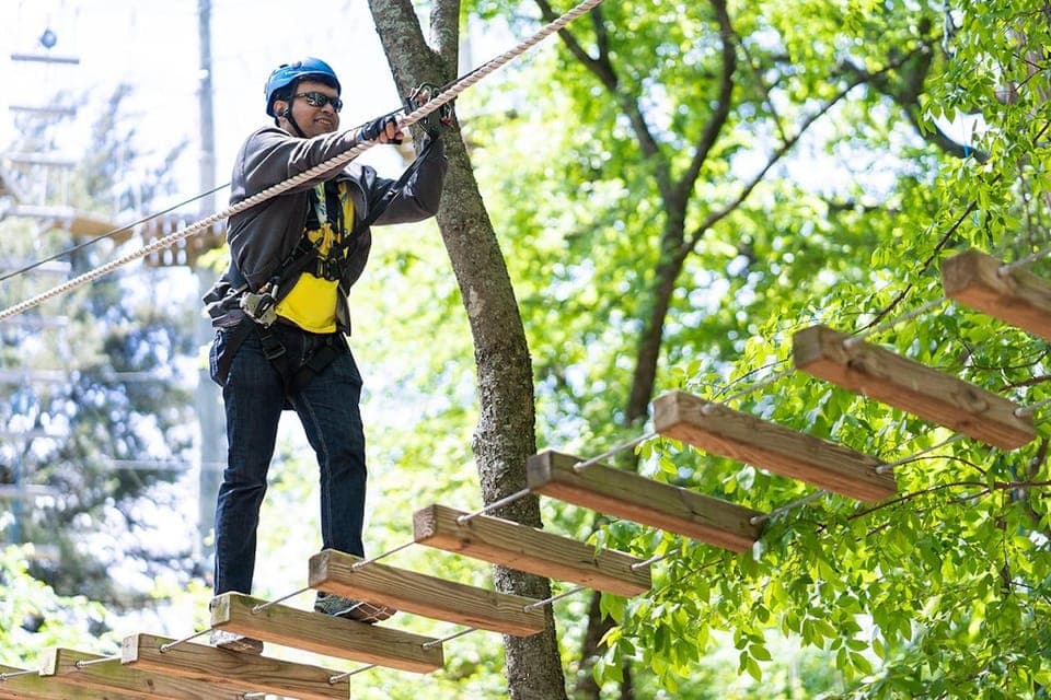 Aerial Adventure Course Park Pass Gallery Image 4