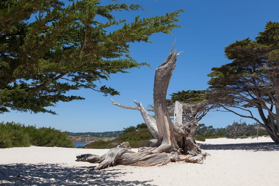 Monterey, Carmel, 17 Mile Dr, Big Sur & Mcway Falls Pvt Tour Gallery Image 2