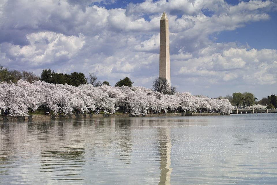 30. Washington DC: Half-Day Bus Tour with Optional Museum Ticket - Image 30