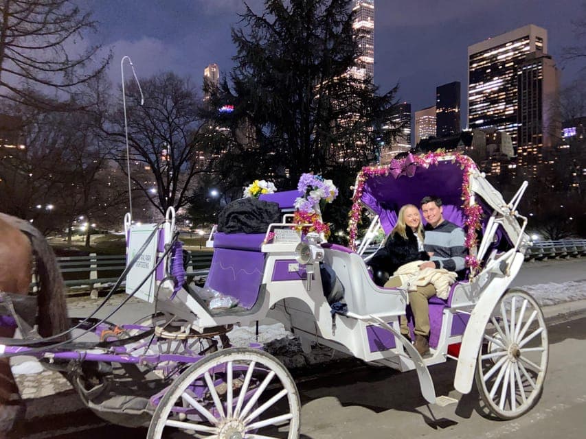 Private Christmas Lights Horse Carriage Ride Gallery Image 2