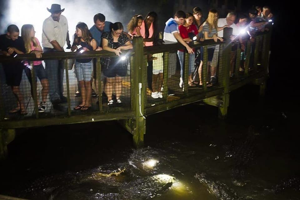 Gatorland Flashlight Tour at Night Gallery Image 3