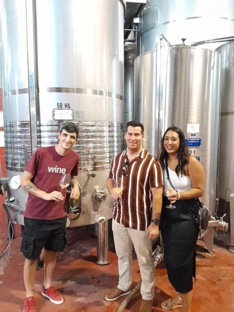 From Barcelona: 3 wineries with hotel pick-up and Lunch Gallery Image 4