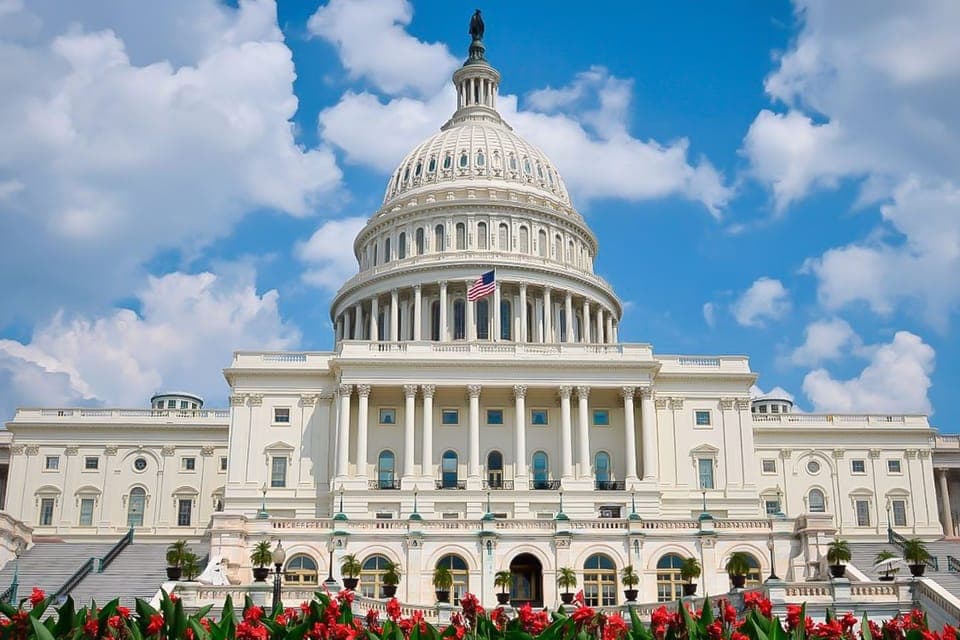 From NYC: Guided Day Trip to Washington DC by Van or Bus Gallery Image 1