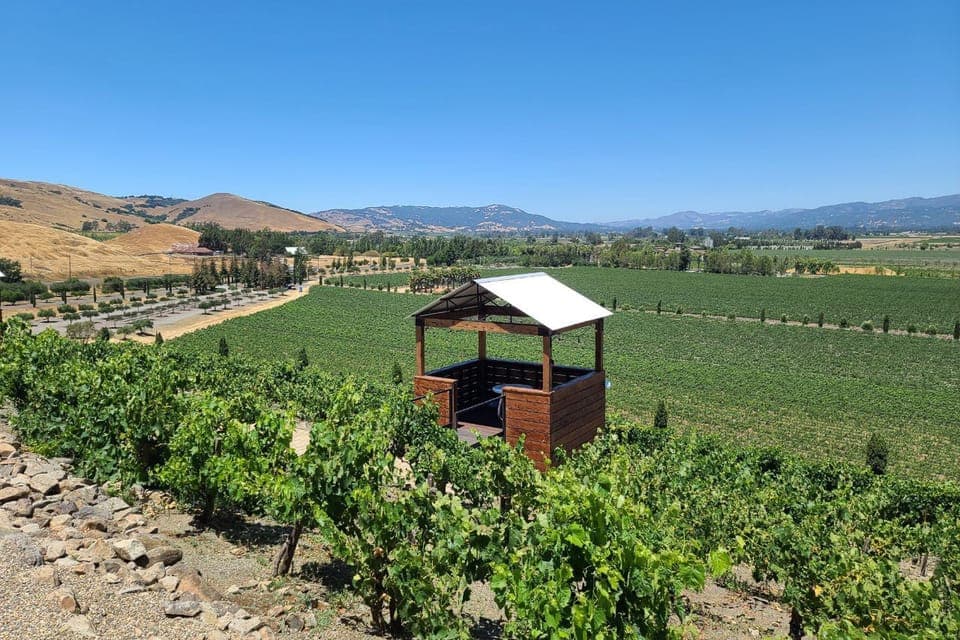Half-Day Wine Tour with 2 Tastings Included Gallery Image 2