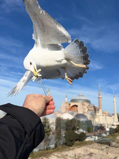 Istanbul: Best of The City Full-Day Tour with Transfers Gallery Image 1