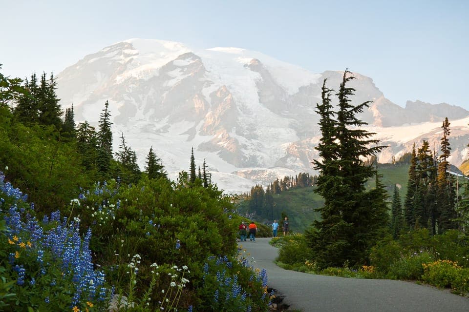 Mount Rainier Park All-Inclusive Small Group Tour - Image NaN