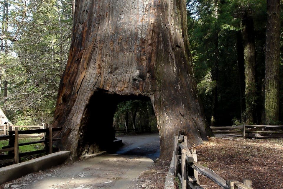 Yosemite Private Full-Day Trip, "From San Francisco" Gallery Image 3