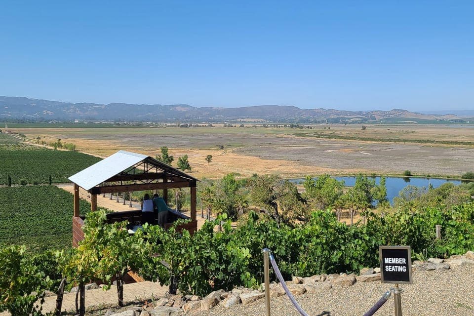 Half-Day Wine Tour with 2 Tastings Included Gallery Image 4