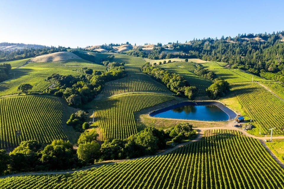 From SFO - Enchanted Napa & Sonoma Wine Tour in SUV Gallery Image 4