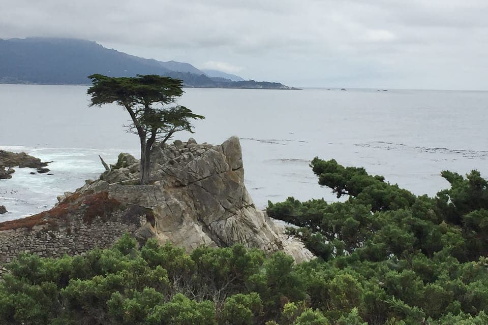 From San Francisco: Carmel, Monterey & Big Sur Private Tour Gallery Image 3