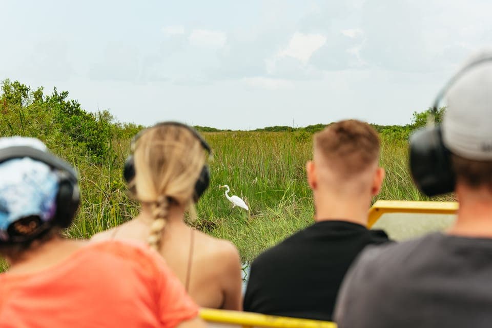 From Miami: Everglades Airboat Ride and Nature Walk Gallery Image 1