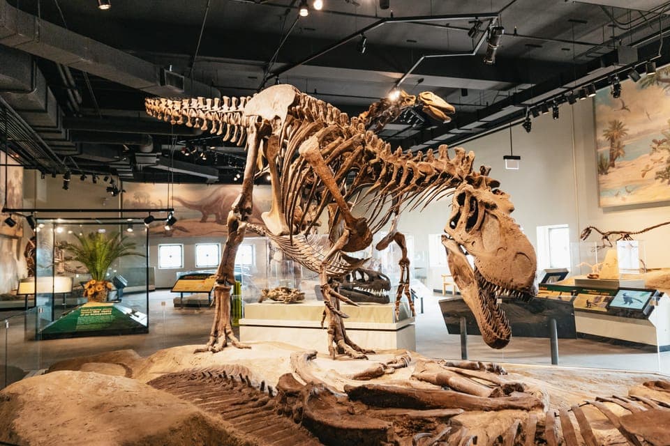 Field Museum of Natural History Ticket or VIP Tour Gallery Image 3
