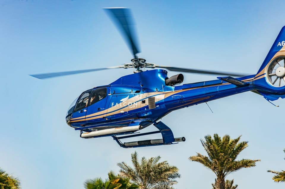 Sightseeing Helicopter Ride from The Palm Gallery Image 2