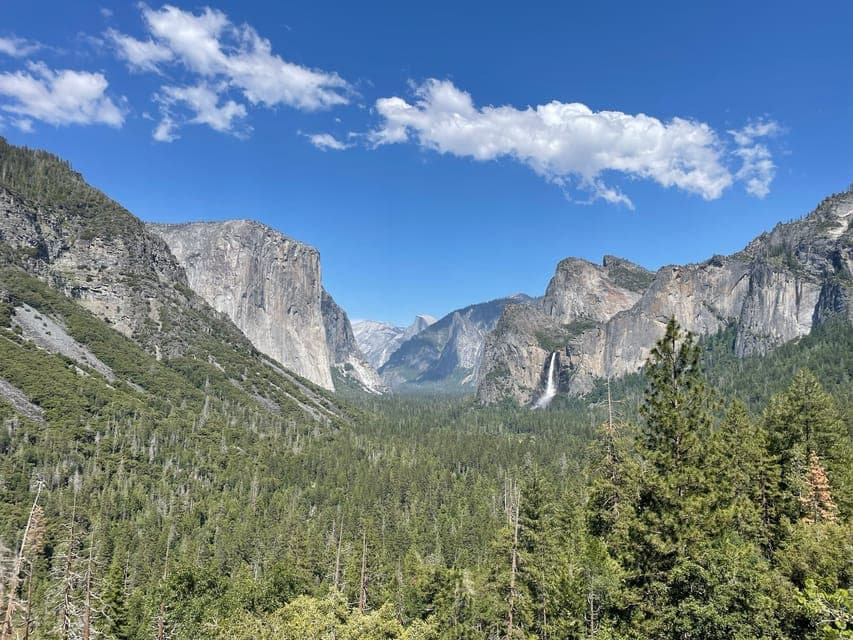 14. Yosemite, Giant Sequoias, Private Tour from San Francisco - Image 14