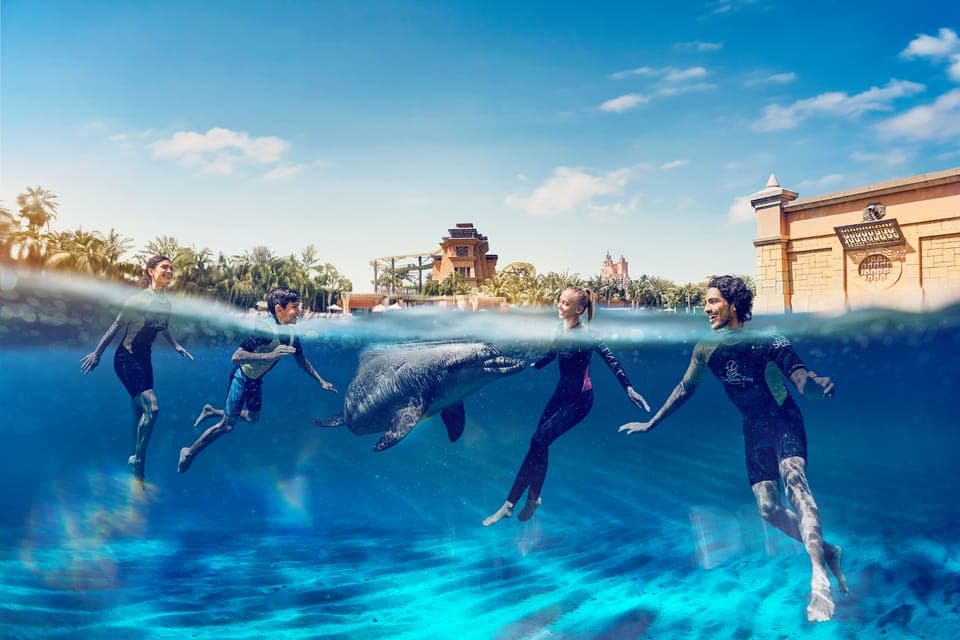 Swim with Dolphins at Atlantis Waterpark Gallery Image 4