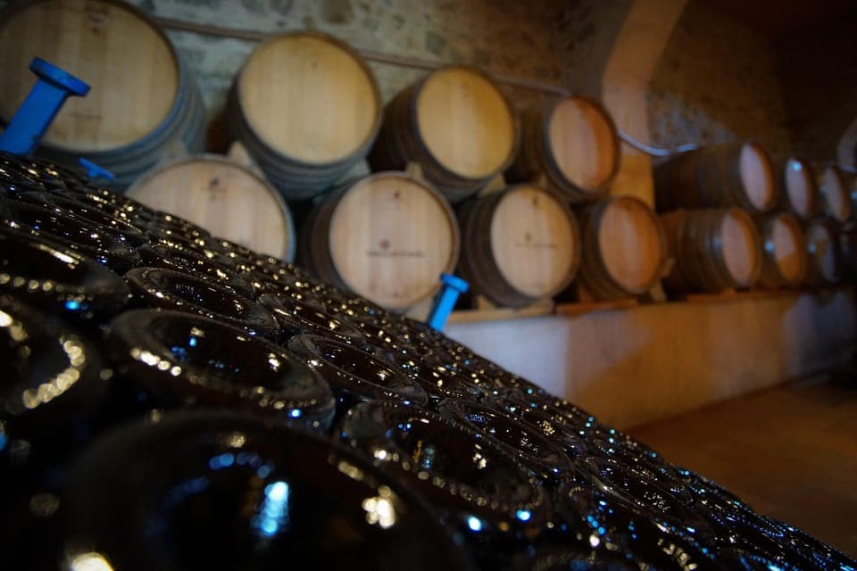 From Barcelona: Sailing and Wine Tasting Experience Gallery Image 3
