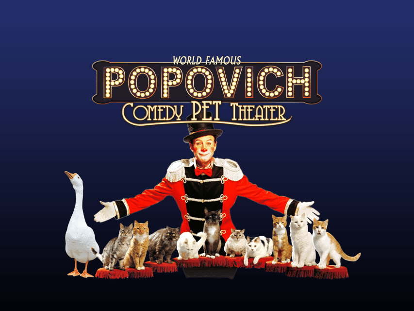14. 75-Minute Popovich Comedy Pet Theater in Las Vegas - Image 14
