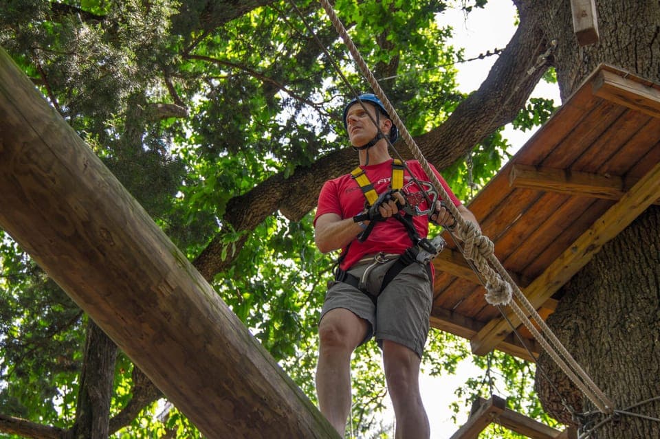 Aerial Adventure Course Park Pass Gallery Image 2