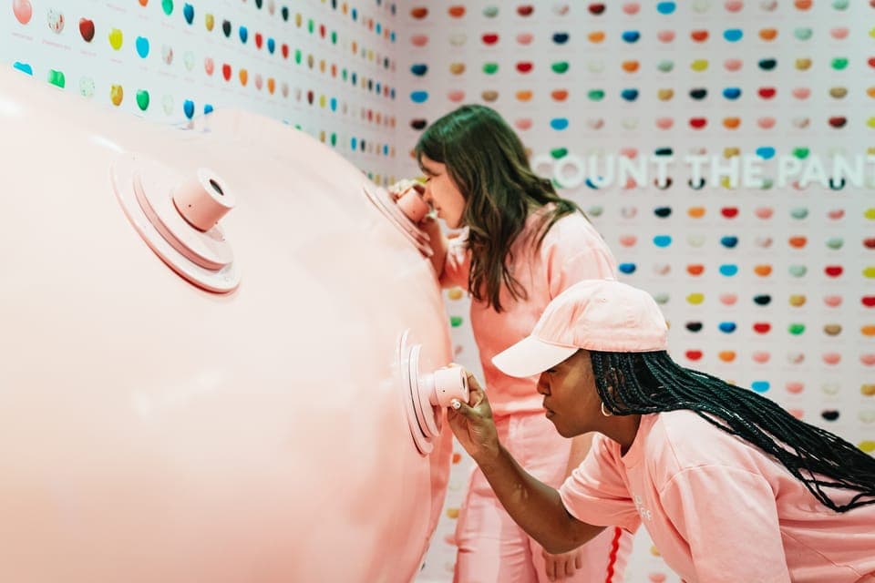 Museum of Ice Cream Entry Ticket Gallery Image 4