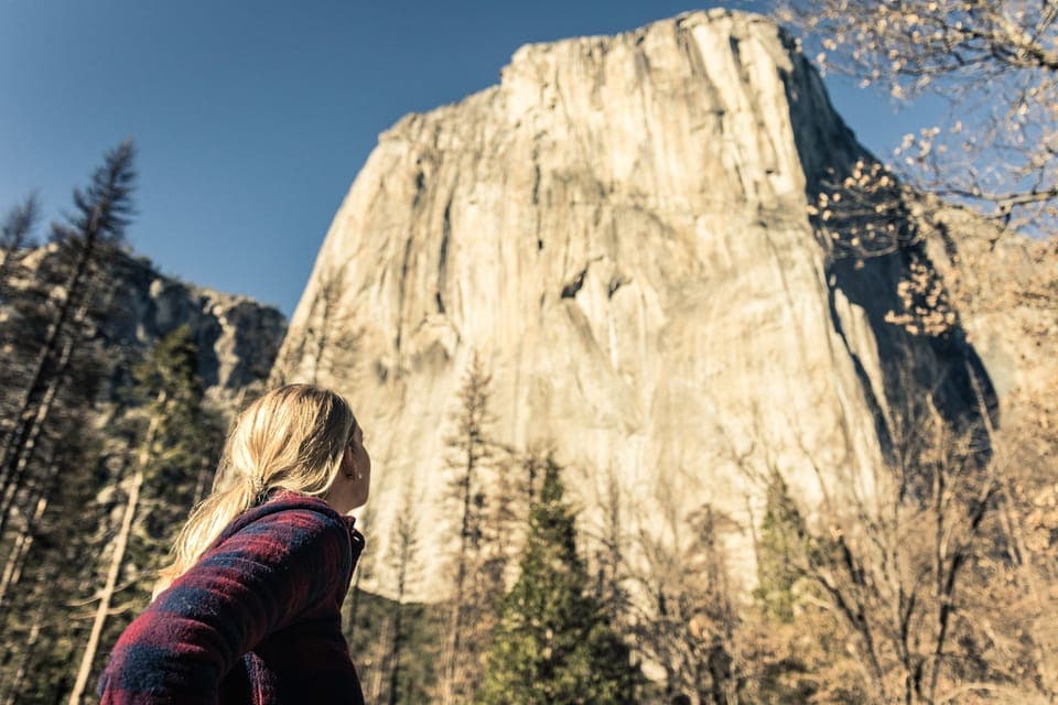 From San Francisco: 2-Day Yosemite Guided Trip with Pickup Gallery Image 3