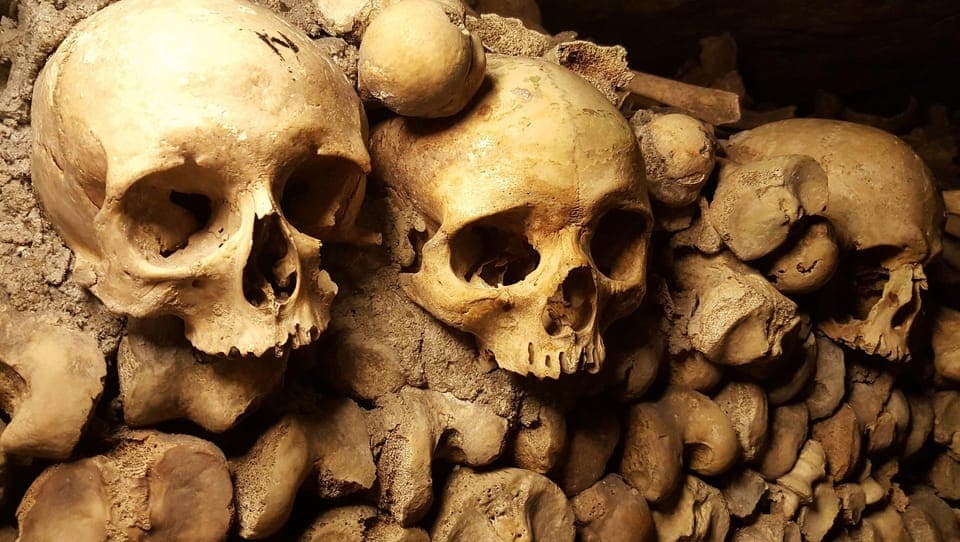 Catacombs Ticket and Seine River Cruise Gallery Image 1
