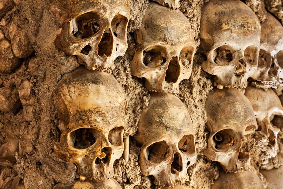 Catacombs Ticket and Seine River Cruise Gallery Image 4