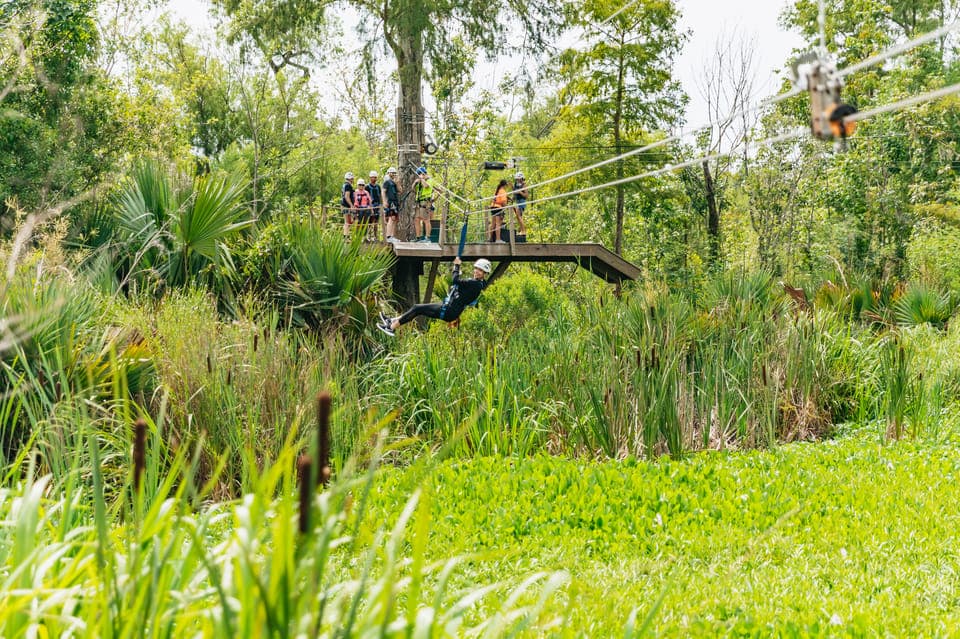 43. Swamp Zipline Tour - Image 43