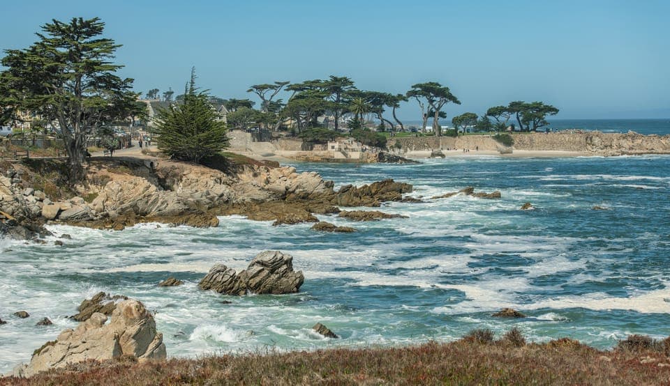 Monterey Peninsula Sightseeing Tour including 17 Mile Drive - Image NaN