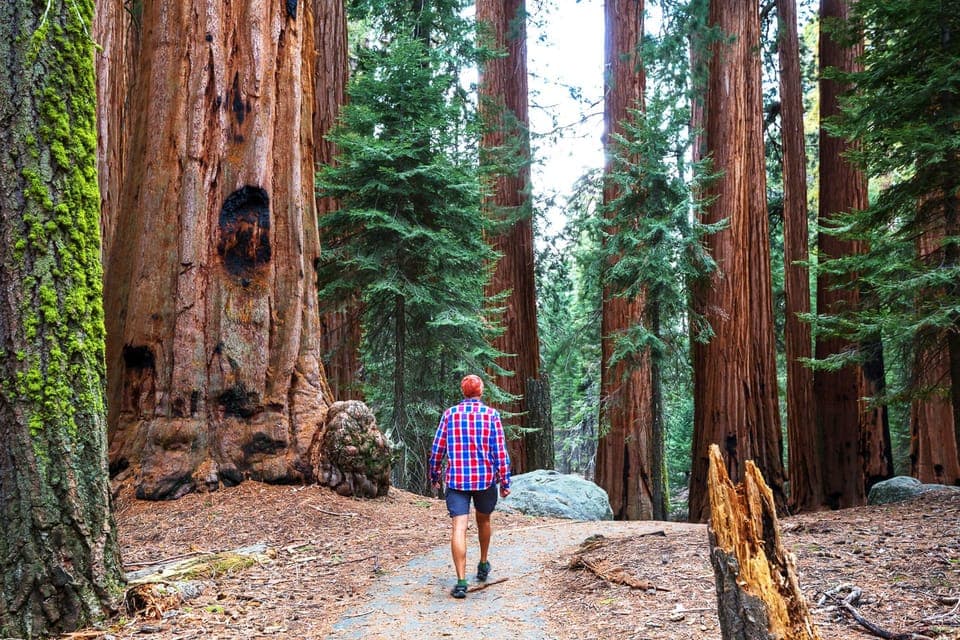 Yosemite Valley 3-Day Camping Adventure Gallery Image 4