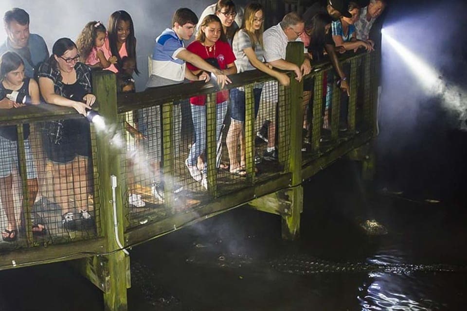 Gatorland Flashlight Tour at Night - Image NaN
