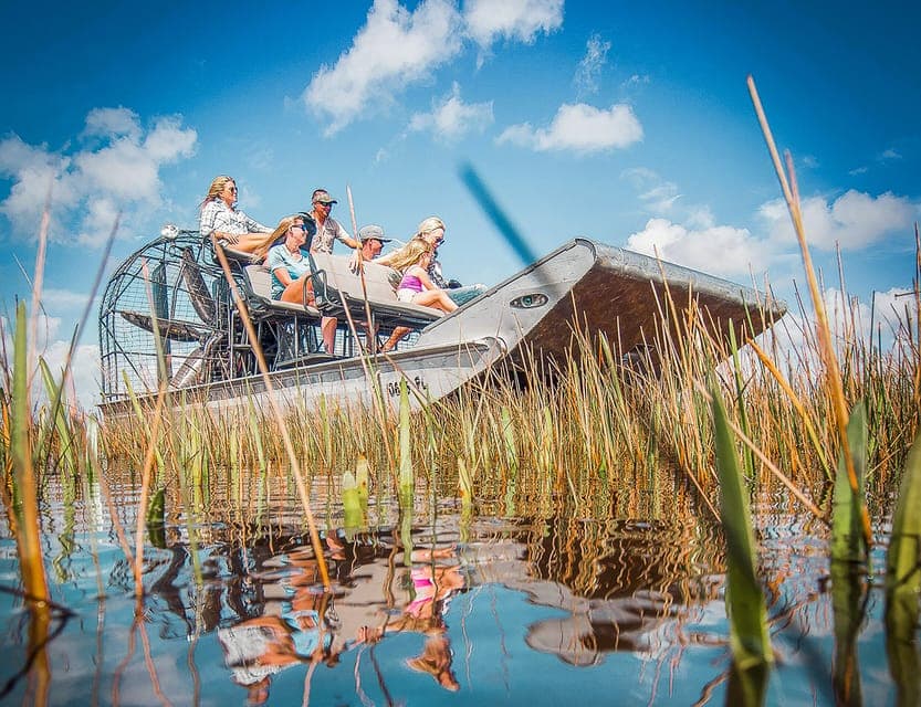 Everglades National Park Airboat Tour & Wildlife Show Gallery Image 1