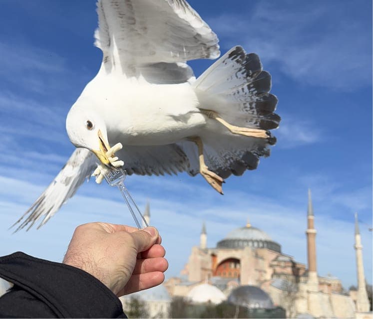 20. Private Guided Istanbul Luxury Tour (Tickets and Transfers) - Image 20