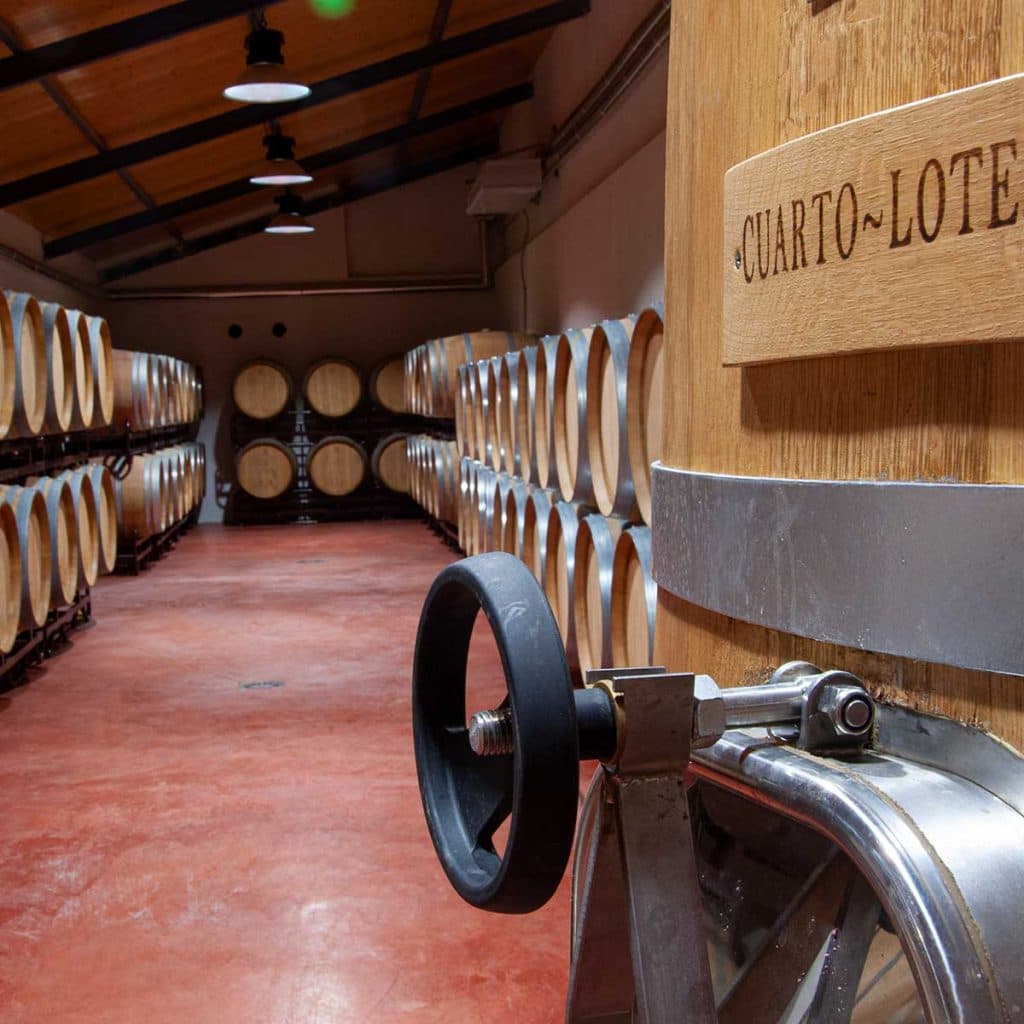 Excursion Alcalá de Henares and Wine Tourism Gallery Image 2