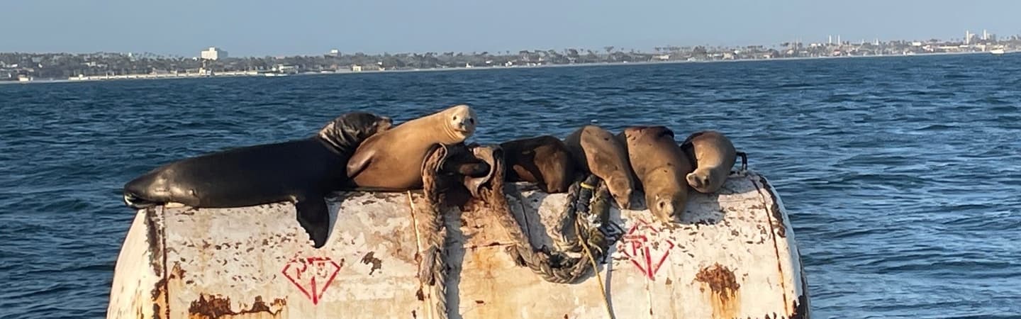 Glass Bottom Boat Eco Tour Gallery Image 3