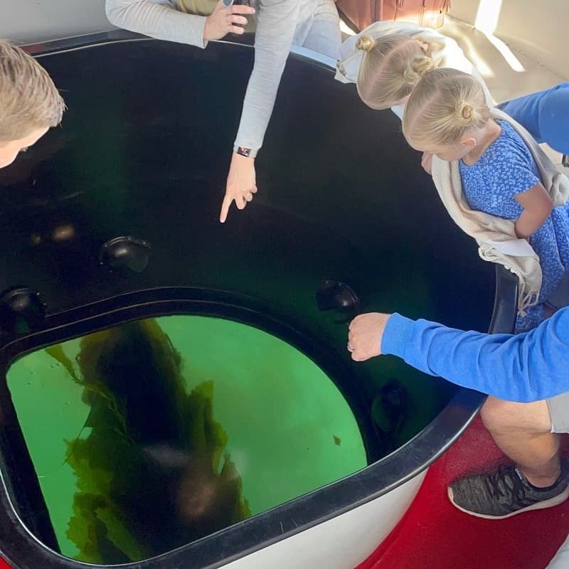Glass Bottom Boat Eco Tour Gallery Image 2