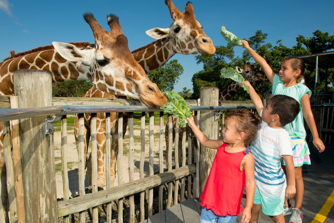 10. Zoo Miami General Admission - Image 10
